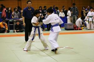 IMG 9560
