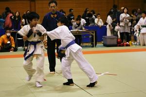 IMG 9562