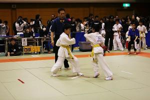 IMG 9570