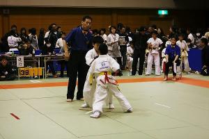 IMG 9571