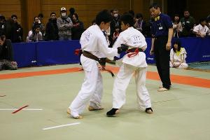 IMG 9575