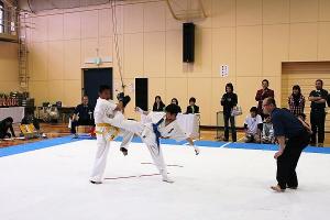 IMG 0053