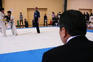 IMG 0058