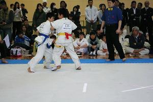 IMG 0092