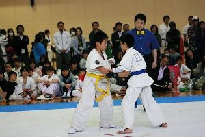 IMG 0094