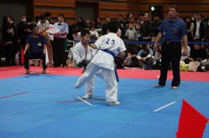 IMG 5975