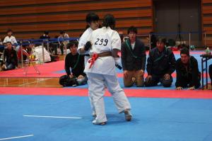 IMG 6075