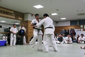 IMG 8568