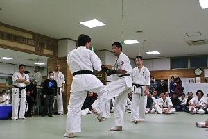 IMG 8571