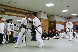 IMG 8572