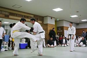 IMG 8573