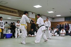 IMG 8574
