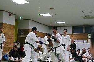 IMG 8575