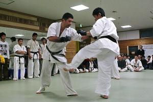 IMG 8578