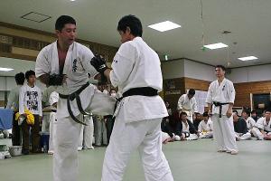 IMG 8579