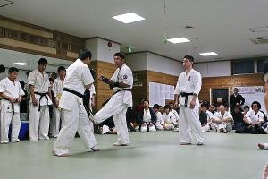 IMG 8581