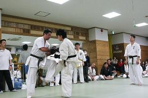IMG 8582