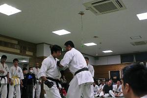 IMG 8590