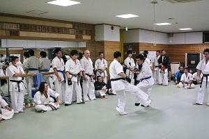 IMG 8823