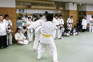 IMG 8825