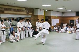 IMG 8831