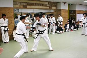 IMG 8833