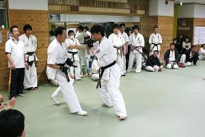 IMG 8834