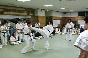 IMG 8835