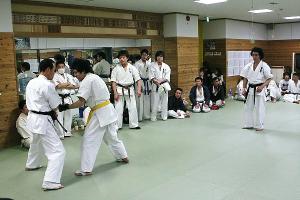 IMG 8837