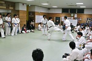 IMG 8841