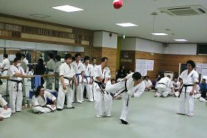 IMG 8842