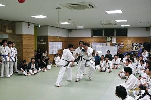 IMG 8845