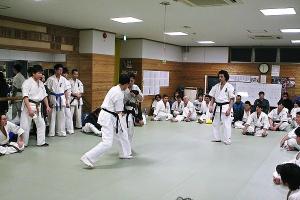 IMG 8846