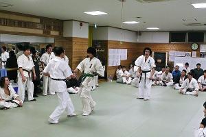 IMG 8849