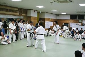 IMG 8853