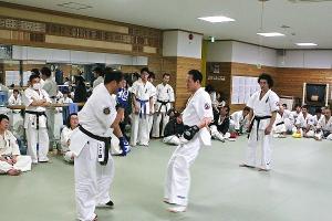 IMG 8854