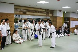 IMG 8855