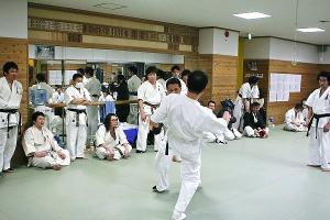 IMG 8856