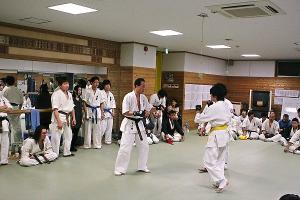 IMG 8857