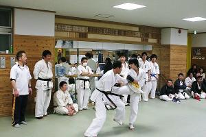 IMG 8858