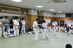 IMG 8861