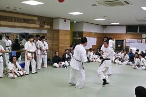 IMG 8866