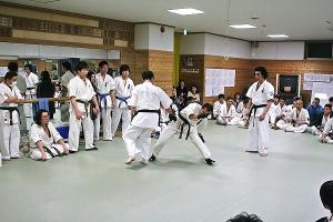 IMG 8867