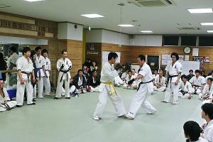 IMG 8869
