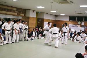 IMG 8871