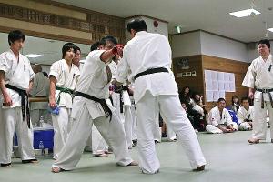 IMG 8933