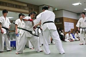 IMG 8934