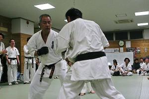 IMG 8943