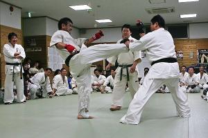IMG 8944