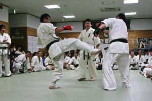 IMG 8945